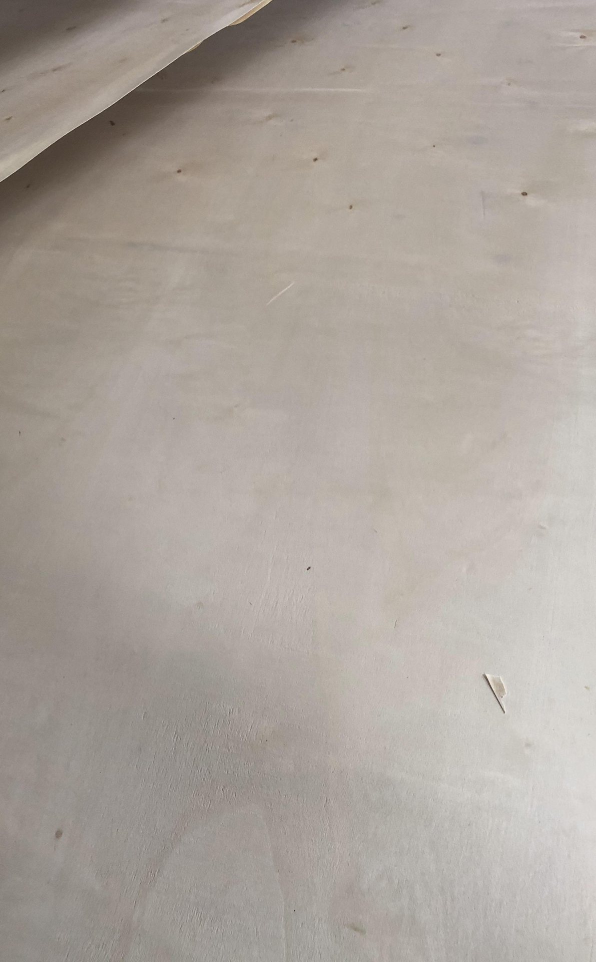 一次成型包裝板